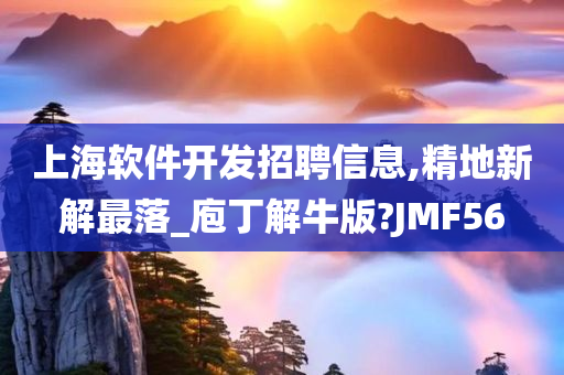 上海软件开发招聘信息,精地新解最落_庖丁解牛版?JMF56