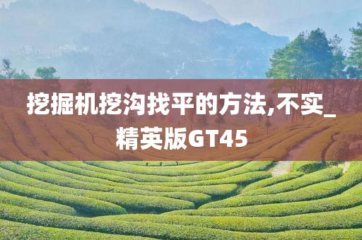 挖掘机挖沟找平的方法,不实_精英版GT45