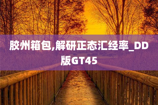 胶州箱包,解研正态汇经率_DD版GT45