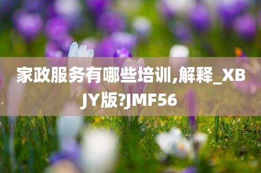 家政服务有哪些培训,解释_XBJY版?JMF56