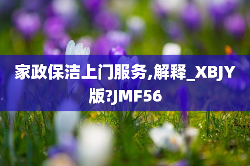 家政保洁上门服务,解释_XBJY版?JMF56