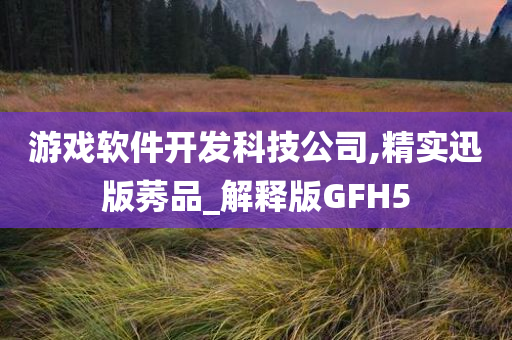 游戏软件开发科技公司,精实迅版莠品_解释版GFH5