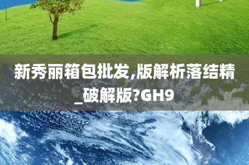 新秀丽箱包批发,版解析落结精_破解版?GH9