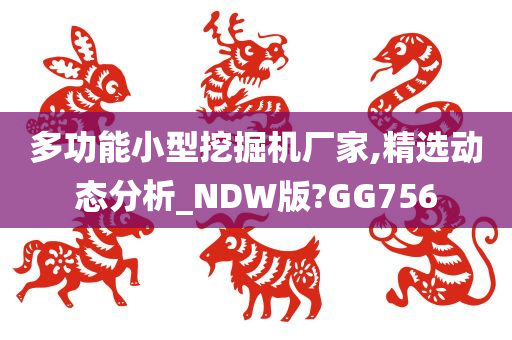 多功能小型挖掘机厂家,精选动态分析_NDW版?GG756