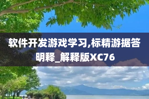 软件开发游戏学习,标精游据答明释_解释版XC76