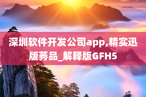 深圳软件开发公司app,精实迅版莠品_解释版GFH5