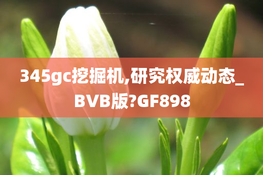 345gc挖掘机,研究权威动态_BVB版?GF898