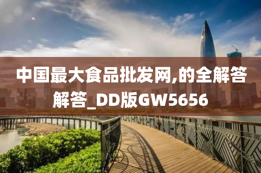 中国最大食品批发网,的全解答解答_DD版GW5656