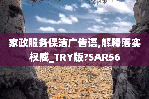 家政服务保洁广告语,解释落实权威_TRY版?SAR56