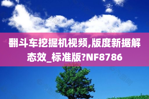 翻斗车挖掘机视频,版度新据解态效_标准版?NF8786