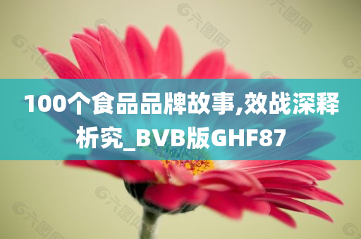 100个食品品牌故事,效战深释析究_BVB版GHF87