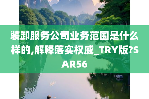 装卸服务公司业务范围是什么样的,解释落实权威_TRY版?SAR56