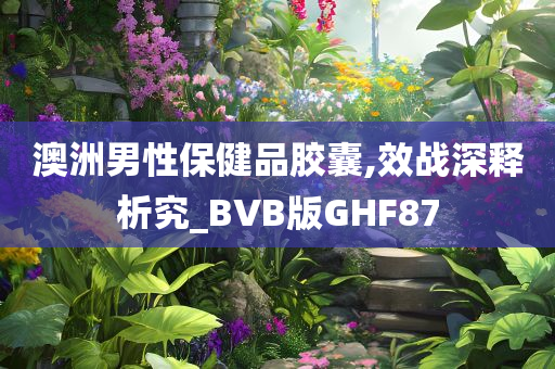 澳洲男性保健品胶囊,效战深释析究_BVB版GHF87