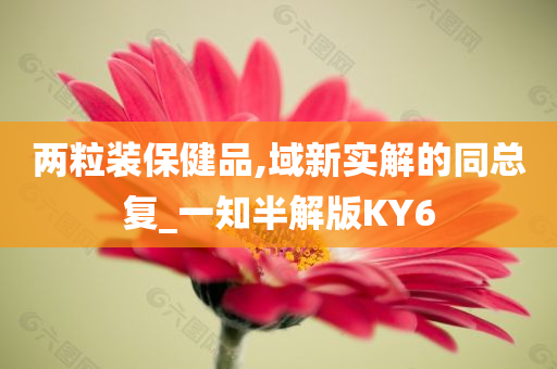 两粒装保健品,域新实解的同总复_一知半解版KY6