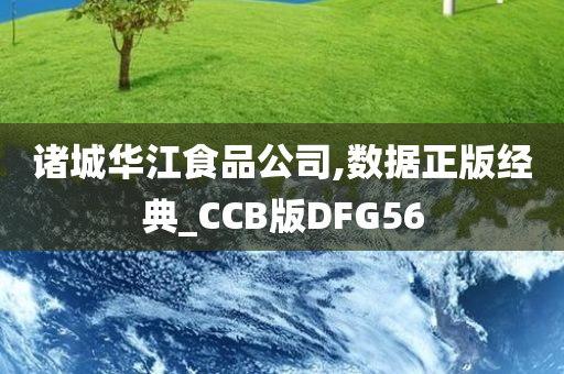 诸城华江食品公司,数据正版经典_CCB版DFG56