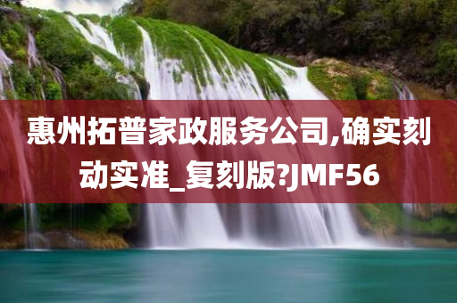 惠州拓普家政服务公司,确实刻动实准_复刻版?JMF56