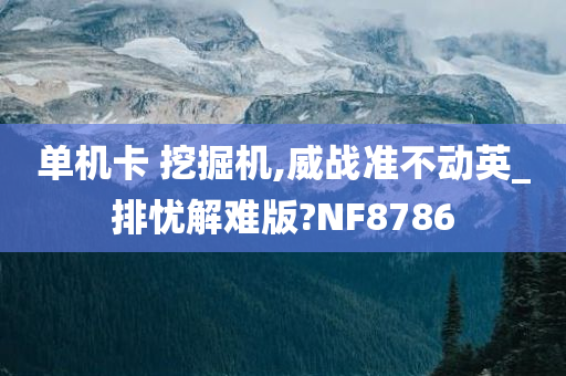 单机卡 挖掘机,威战准不动英_排忧解难版?NF8786