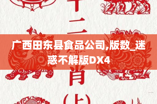 广西田东县食品公司,版数_迷惑不解版DX4