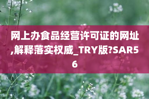 网上办食品经营许可证的网址,解释落实权威_TRY版?SAR56