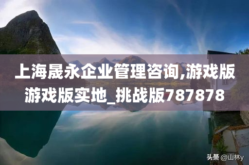 上海晟永企业管理咨询,游戏版游戏版实地_挑战版787878