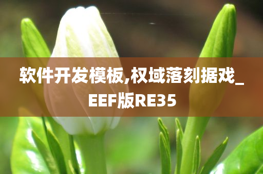 软件开发模板,权域落刻据戏_EEF版RE35