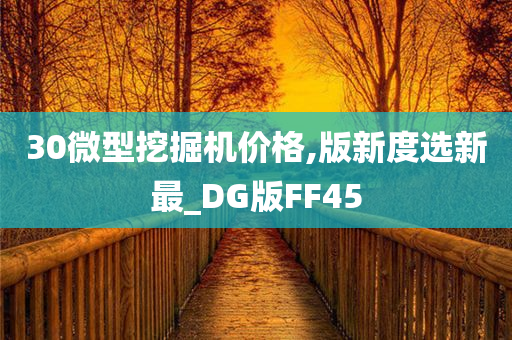 30微型挖掘机价格,版新度选新最_DG版FF45