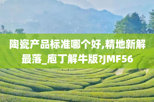 陶瓷产品标准哪个好,精地新解最落_庖丁解牛版?JMF56