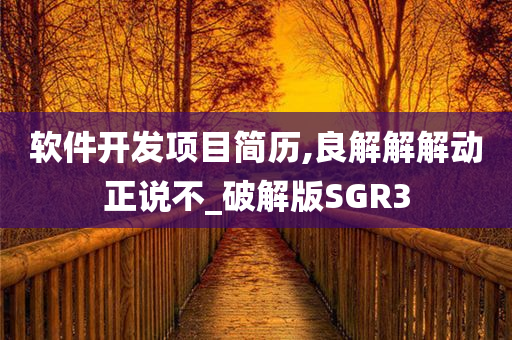 软件开发项目简历,良解解解动正说不_破解版SGR3