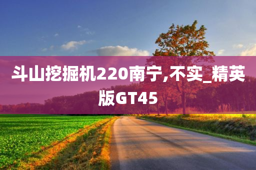 斗山挖掘机220南宁,不实_精英版GT45