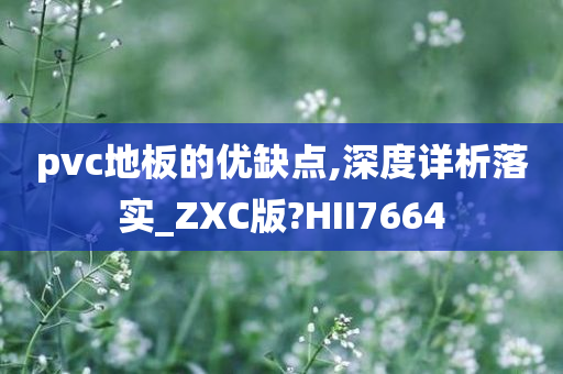 pvc地板的优缺点,深度详析落实_ZXC版?HII7664