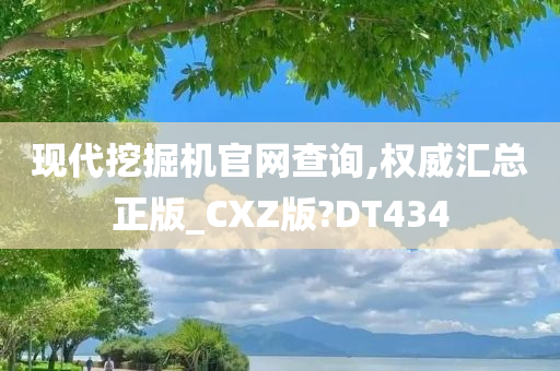 现代挖掘机官网查询,权威汇总正版_CXZ版?DT434