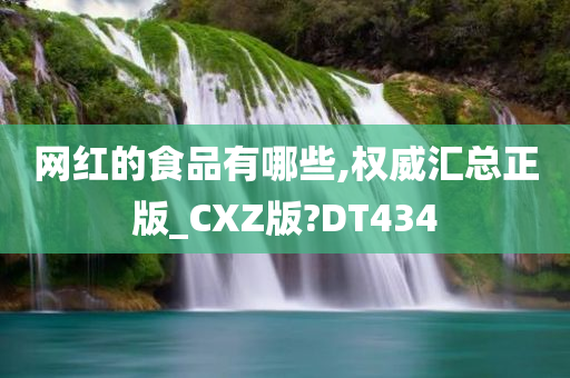 网红的食品有哪些,权威汇总正版_CXZ版?DT434