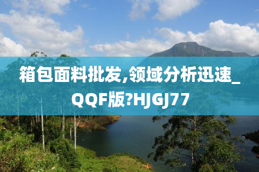 箱包面料批发,领域分析迅速_QQF版?HJGJ77