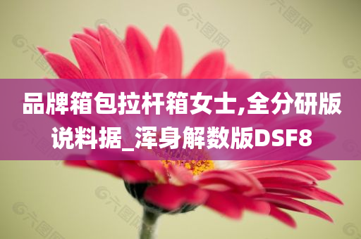 品牌箱包拉杆箱女士,全分研版说料据_浑身解数版DSF8