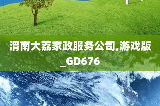 渭南大荔家政服务公司,游戏版_GD676