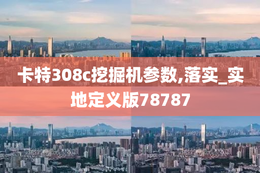 卡特308c挖掘机参数,落实_实地定义版78787