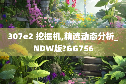 307e2 挖掘机,精选动态分析_NDW版?GG756