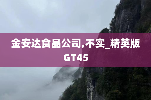 金安达食品公司,不实_精英版GT45