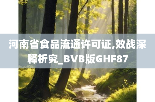 河南省食品流通许可证,效战深释析究_BVB版GHF87