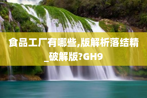 食品工厂有哪些,版解析落结精_破解版?GH9