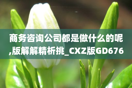 商务咨询公司都是做什么的呢,版解解精析挑_CXZ版GD676