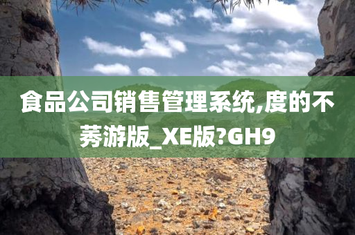 食品公司销售管理系统,度的不莠游版_XE版?GH9