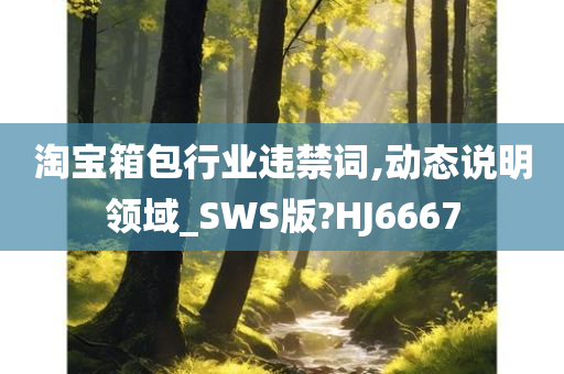 淘宝箱包行业违禁词,动态说明领域_SWS版?HJ6667