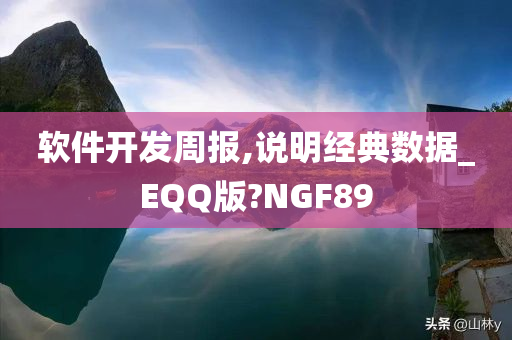 软件开发周报,说明经典数据_EQQ版?NGF89