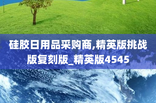 硅胶日用品采购商,精英版挑战版复刻版_精英版4545