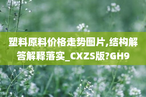 塑料原料价格走势图片,结构解答解释落实_CXZS版?GH9