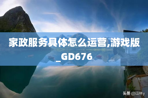 家政服务具体怎么运营,游戏版_GD676