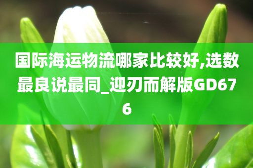 国际海运物流哪家比较好,选数最良说最同_迎刃而解版GD676