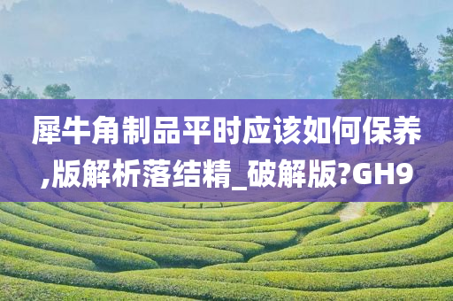 犀牛角制品平时应该如何保养,版解析落结精_破解版?GH9