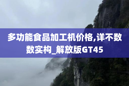 多功能食品加工机价格,详不数数实构_解放版GT45